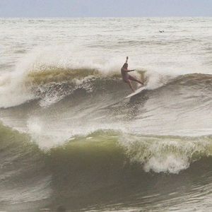 Meet your Posher, Ellen